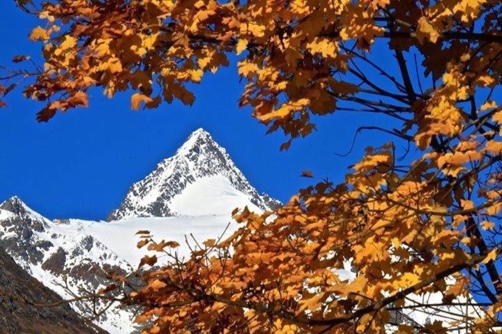 Pension Lagler Heiligenblut Esterno foto